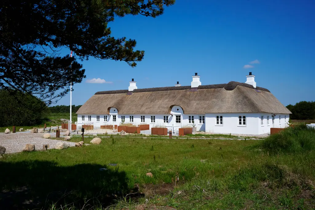 Tane Hedevej