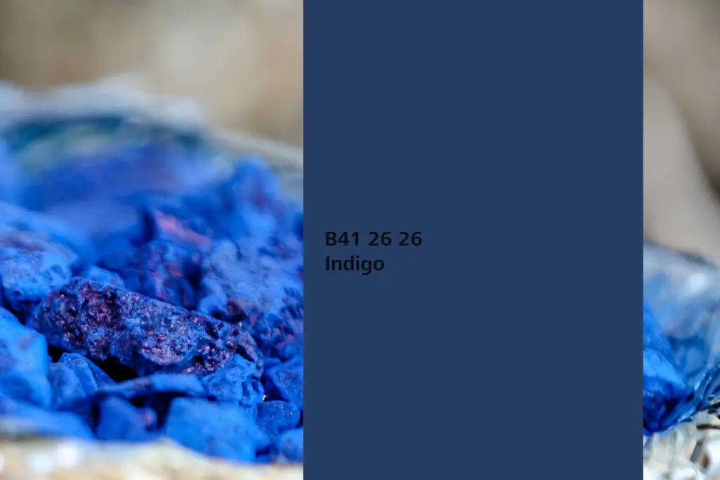 Indigo colour shade, indigo dye plant, colour shade in Sto’s Interior Colors 24+ range