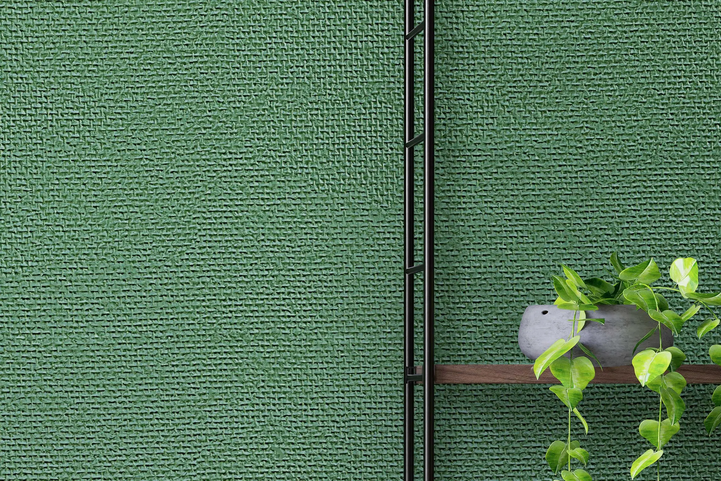 Living space 3, close-up of wall shelf with plant, wall painted in a green colour shade from Sto’s I