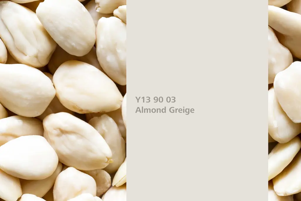 Almond Greige colour shade, almond fruit / nut, natural colour in the Interior Colors 24+ range