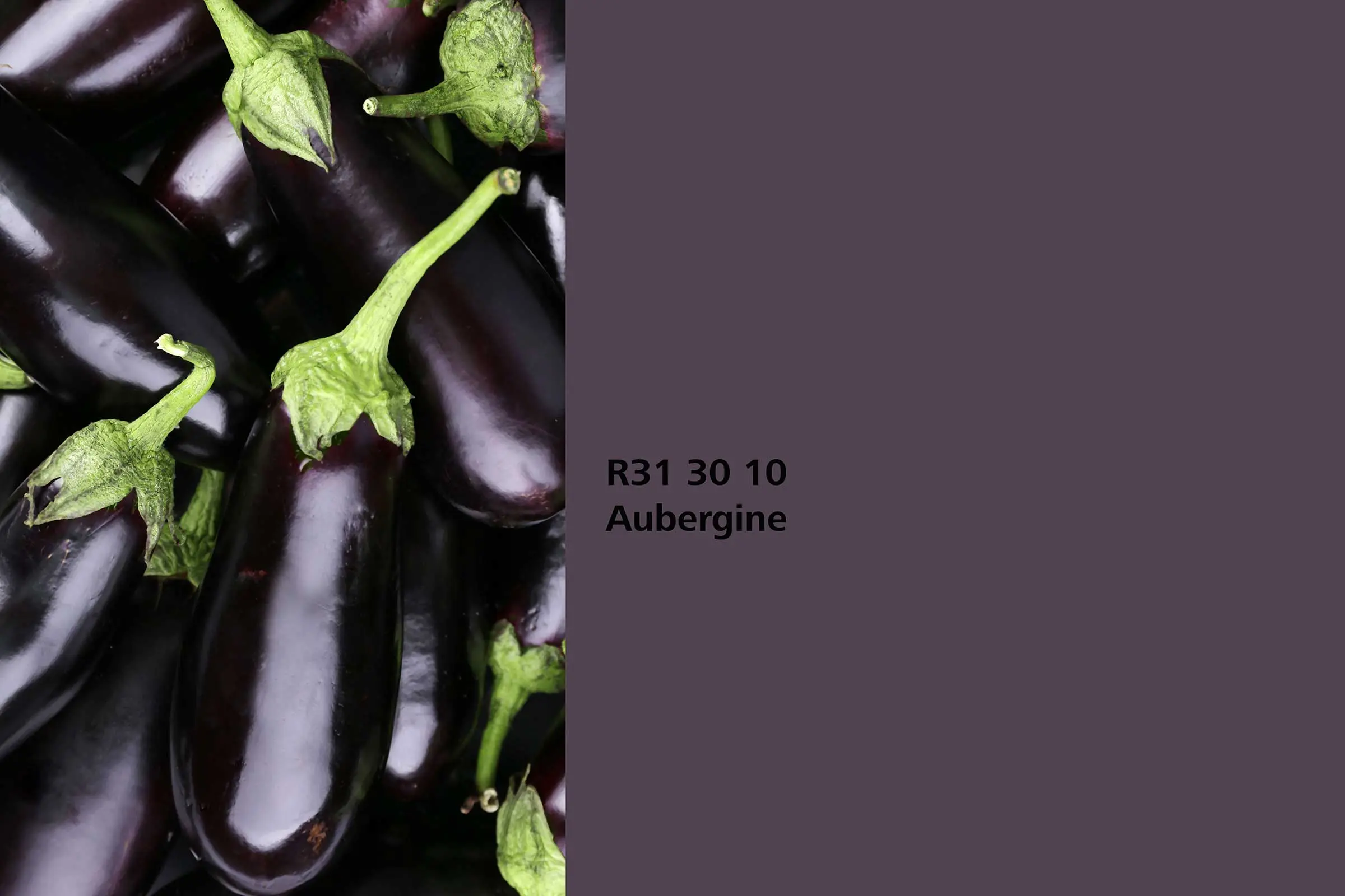 Aubergine colour shade, aubergine fruit association, colour shade in Sto’s Interior Colors 24+