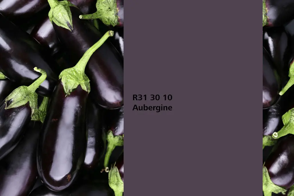 Aubergine colour shade, aubergine fruit association, natural colour in Sto’s Interior Colors 24+ ran