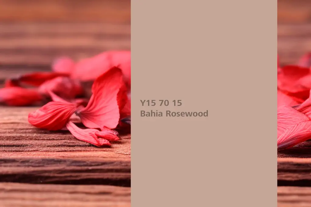 Bahia Rosewood colour shade, tulipwood association, natural colour in the Interior Colors 24+ range