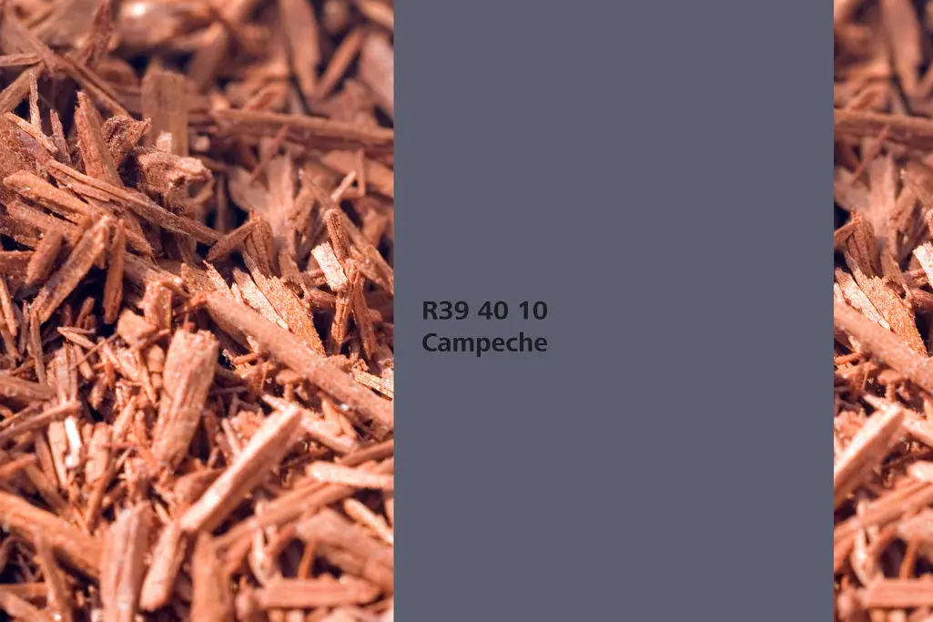 Campeche colour shade, logwood dye plant, natural colour in the Interior Colors 24+ range