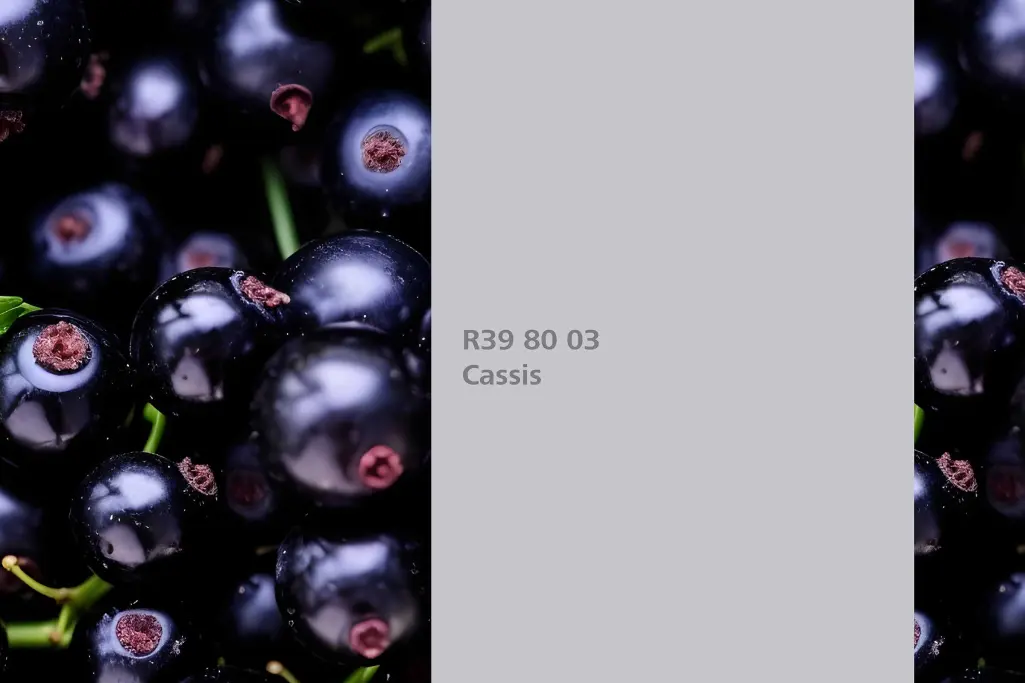 Cassis colour shade, blackcurrant dye plant, natural colour in the Interior Colors 24+ range