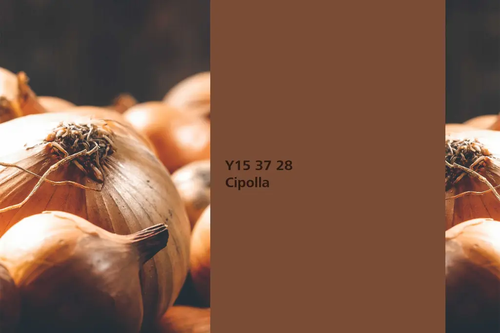 Cipolla colour shade, onion dye plant, natural colour in the Interior Colors 24+ range