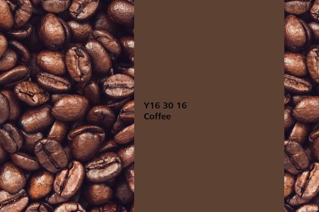 Coffee colour shade, roasted coffee beans association, natural colour in the Interior Colors 24+ ran