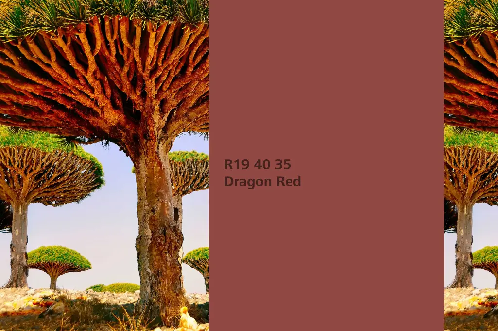 Dragon Red colour shade, dragon blood tree dye plant, natural colour in the Interior Colors 24+ rang