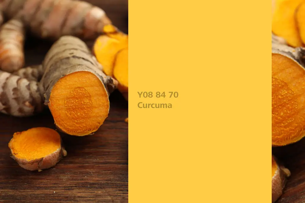 Curcuma colour shade, turmeric dye plant, natural colour in the Interior Colors 24+ range