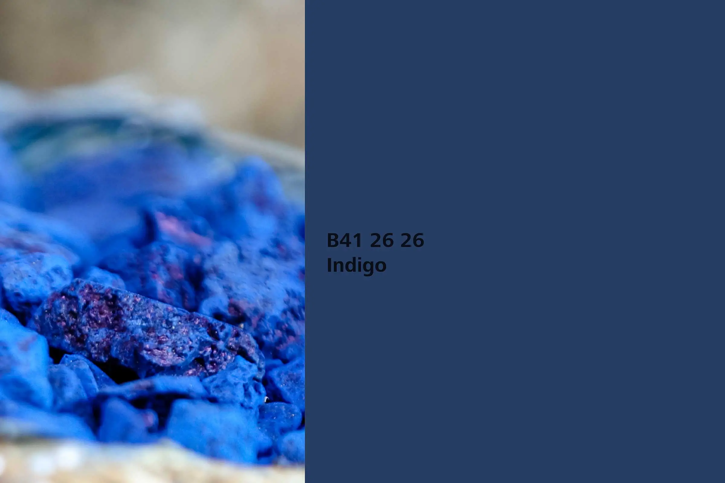 Indigo colour shade, indigo dye plant, natural colour shade in Sto’s Interior Colors 24+ range