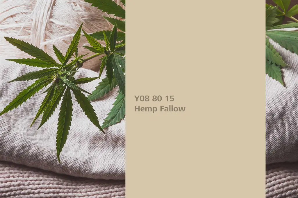 Hemp Fallow colour shade, hemp association, natural colour in the Interior Colors 24+ range