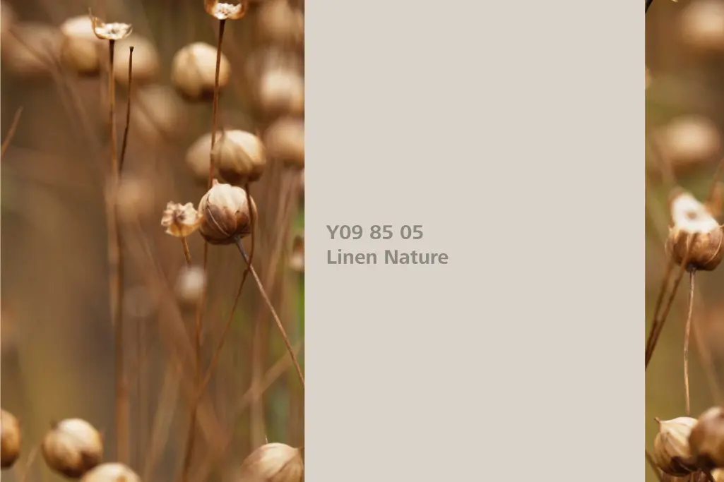 Linen Nature colour shade, flax association, natural colour in the Interior Colors 24+ range