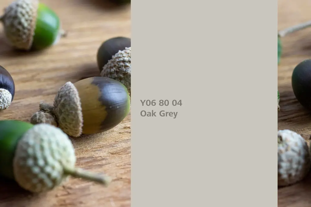 Oak Grey colour shade, common oak dye plant, natural colour in the Interior Colors 24+ range