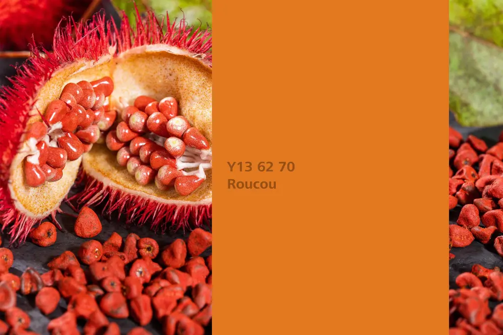 Roucou colour shade, annatto dye plant, natural colour in the Interior Colors 24+ range