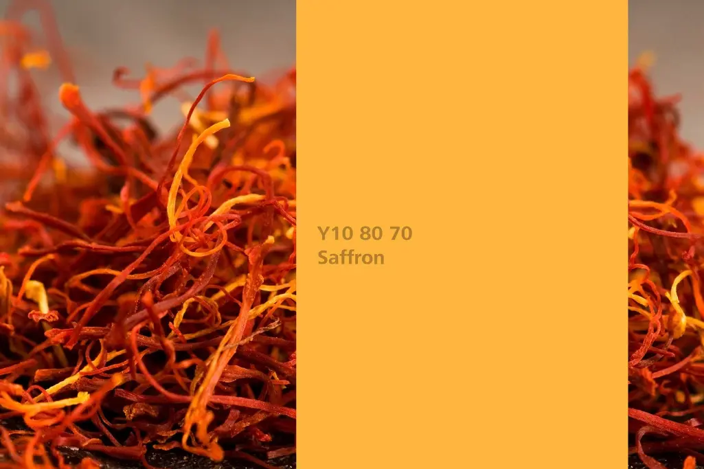 Saffron colour shade, saffron dye plant, natural colour in the Interior Colors 24+ range