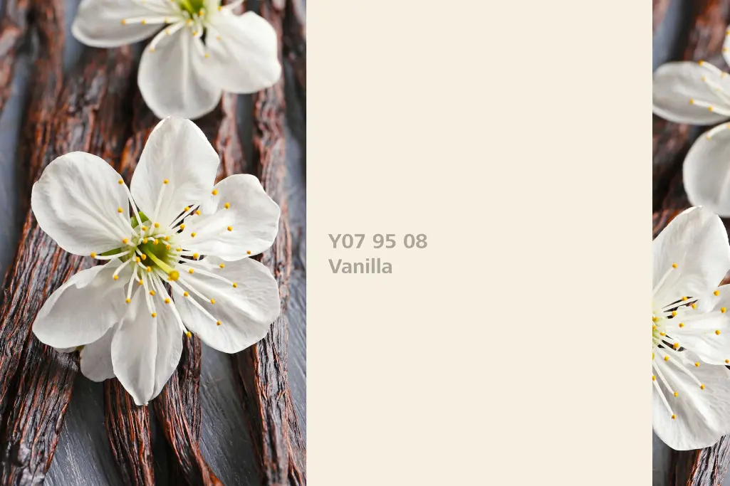 Vanilla colour shade, vanilla association, natural colour in the Interior Colors 24+ range
