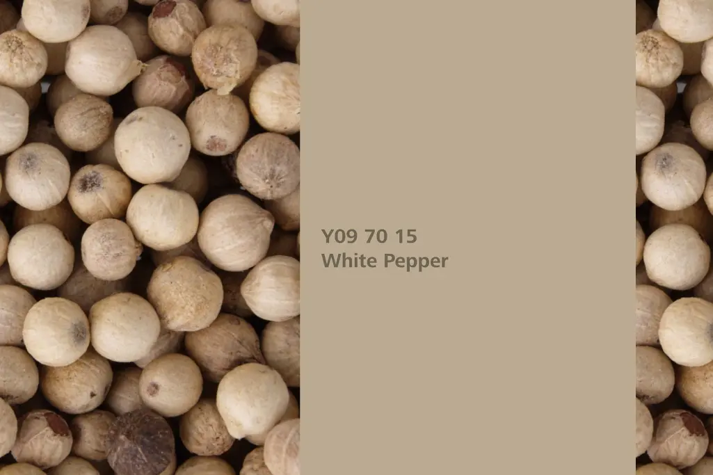 White Pepper colour shade, pepper plant fruit, natural colour in the Interior Colors 24+ range