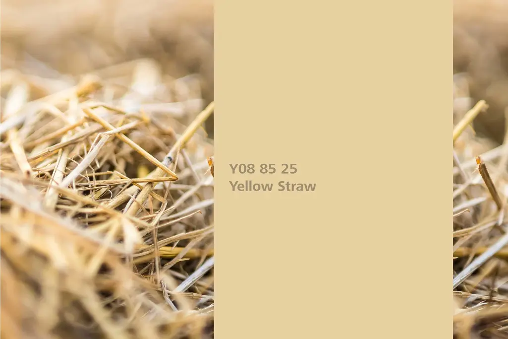 Yellow Straw colour shade, common wheat association, natural colour in the Interior Colors 24+ range